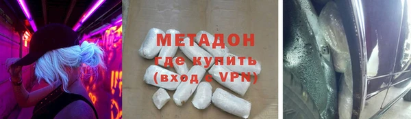 гидра Белокуриха