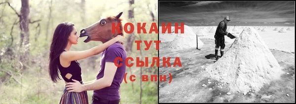 гидра Белокуриха