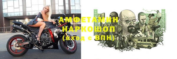 гидра Белокуриха